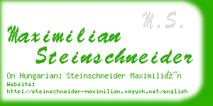 maximilian steinschneider business card